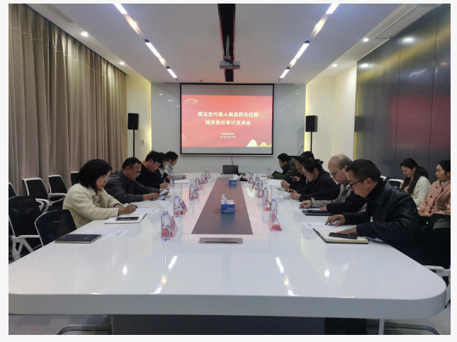 市古鎮(zhèn)投資公司審計(jì)組一行赴市古鎮(zhèn)智慧公司